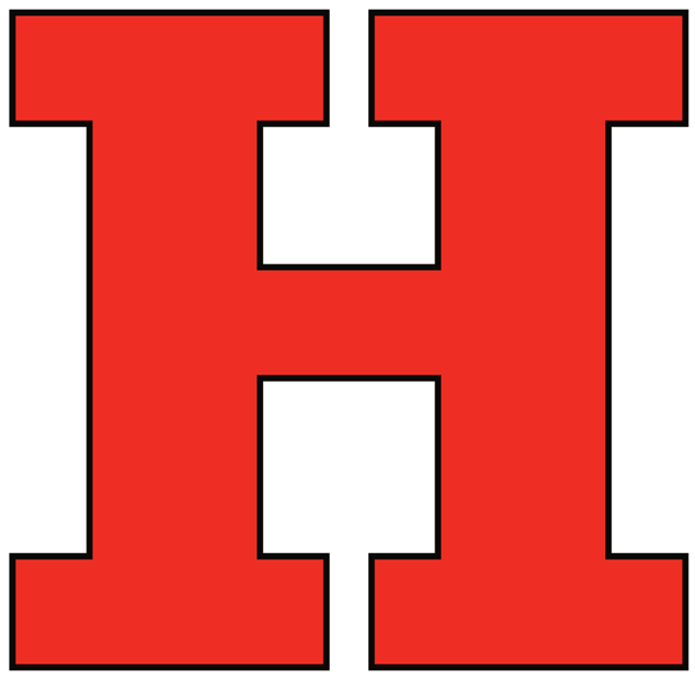 Hartford Hawks 1984-Pres Wordmark Logo iron on transfers for clothing